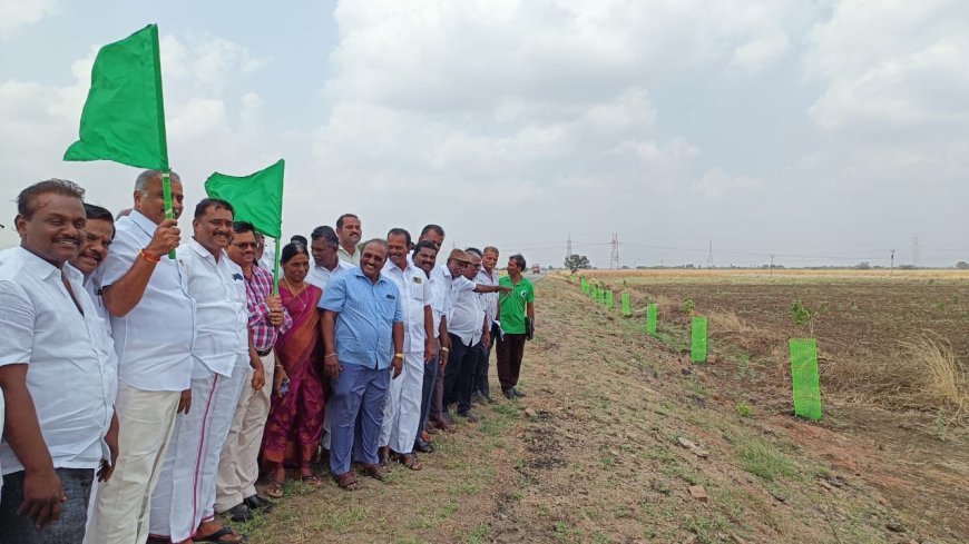 ஒரு கோடி மரங்கள் நடும் திட்டம் :விளாத்திகுளம் சட்டமன்ற உறுப்பினர் மார்கண்டேயன் தலைமையில் நடைபெற்றது.