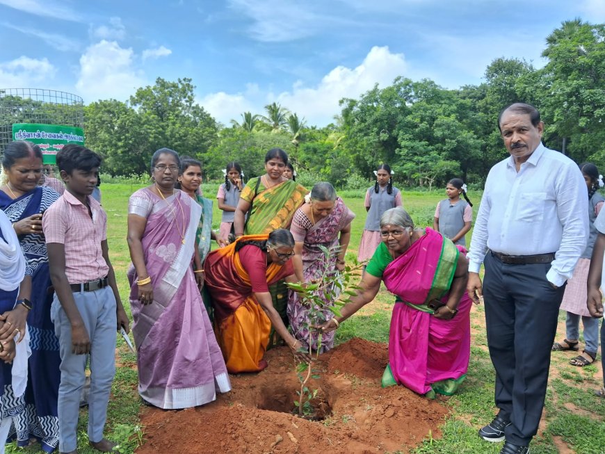 தூத்துக்குடி S. M. A அரசு மேல்நிலைப்பள்ளி சிறுத்தொண்டநல்லூர் எக்கோ கிளப் சார்பாக TVSSST மற்றும் மகளிர் சுய உதவி குழு இணைந்து எம் பள்ளி மிளிரும் மரம் நடு விழா நடைபெற்றது.