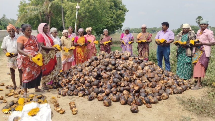 தாமிரபரணி ஆற்றங் கரையோரம் விதைப்பதற்காக சேகரித்து சேமித்து வைத்திருந்த 1.5 லட்சம் பனை விதைகள் வெள்ளத்தில் அடித்துச் செல்லப்பட்டது .