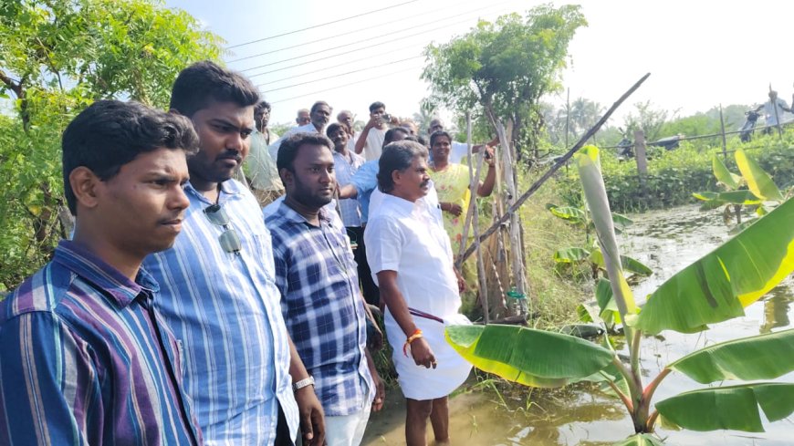 மழை வெள்ளத்தால் பாதிக்கப்பட்ட நெல் மற்றும் வாழை பயிர்கள் - ஒட்டப்பிடாரம் சட்டமன்ற உறுப்பினர் எம். சி.சண்முகையா நேரில் பார்வையிட்டார்.