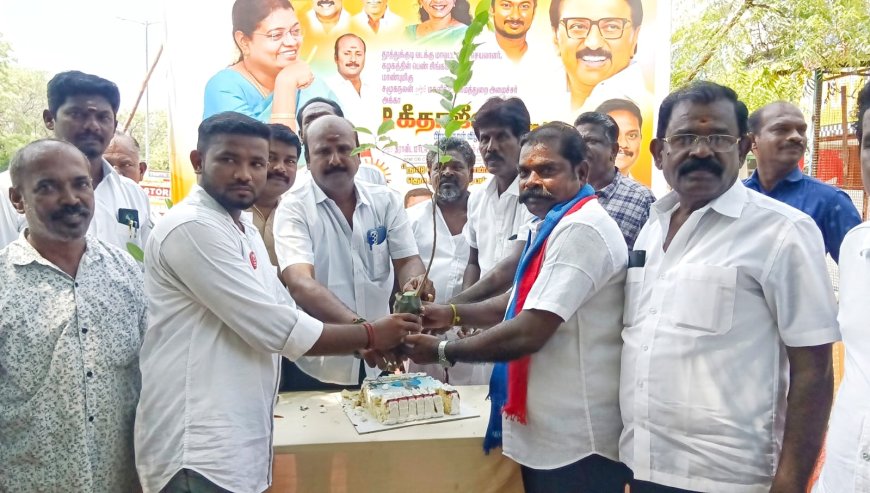 தமிழ்நாடு முதல்வரால் பெண் சிங்கம் என்று அழைக்கப்படும் சமூக நலன் மற்றும் மகளிர் உரிமைத்துறை அமைச்சர் கீதா ஜீவன் பிறந்தநாள் - பிரையன்ட் நகர் பகுதி திமுக தகவல் தொழில்நுட்ப அணி சார்பில் கேக் வெட்டியும் மரக்கன்று வழங்கியும் பிறந்தநாள் கொண்டாடப்பட்டது.